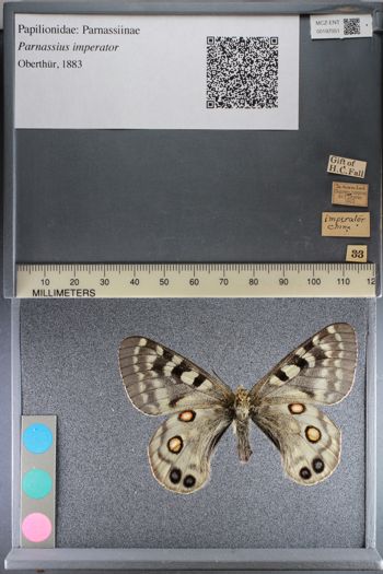 Media type: image;   Entomology 197051